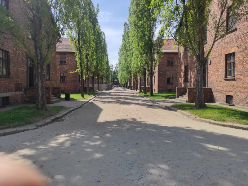 Wycieczka śladami historii: Auschwitz – Birkenau, Wawel